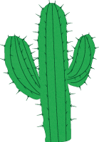 Kaktus
